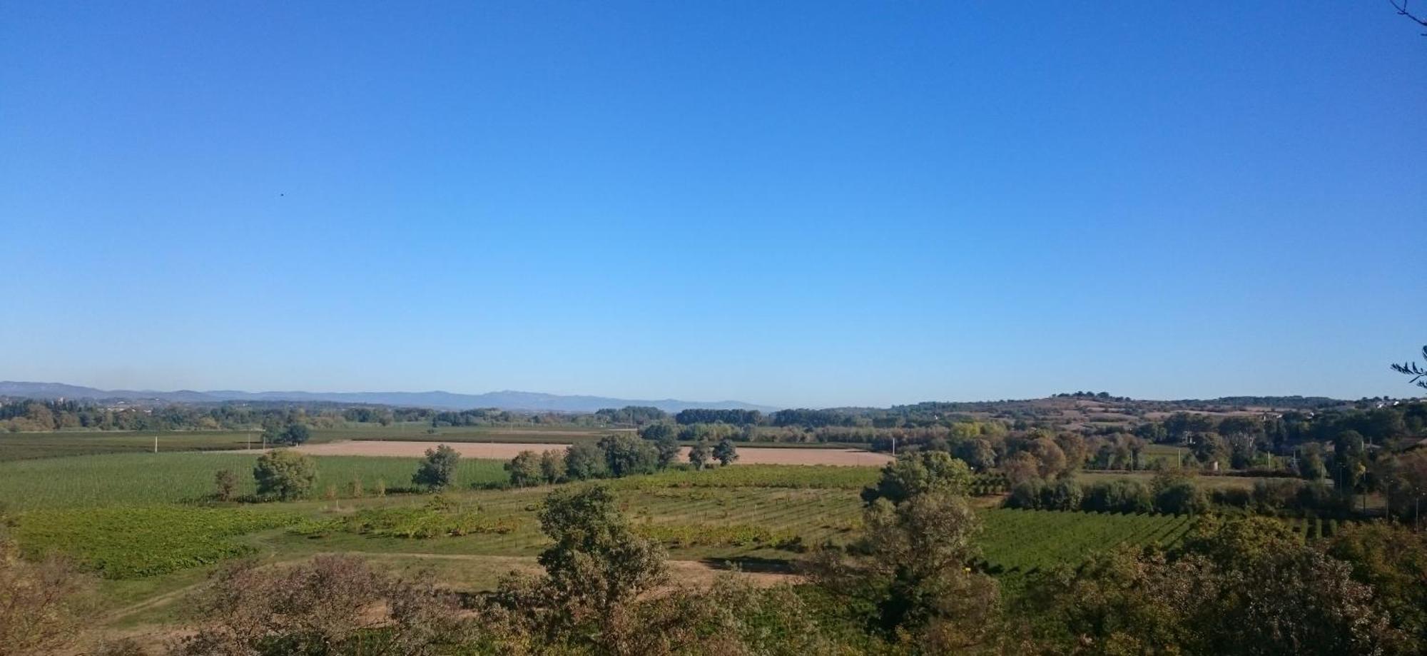 Camping Les Amandiers Castelnau-de-Guers ภายนอก รูปภาพ
